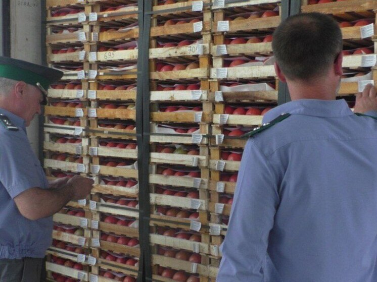 Россельхознадзор обнаружил вредителей в партии импортных продуктов в Дагестане