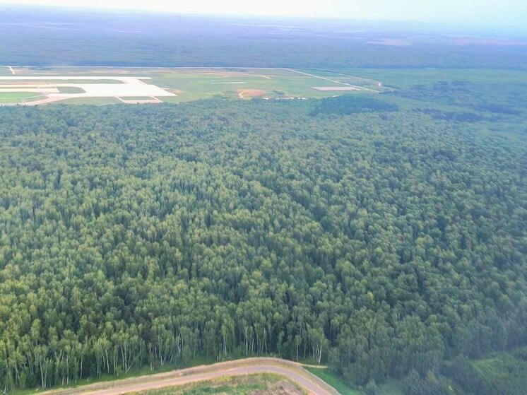 В Пензенской области объявили 4 класс пожарной опасности