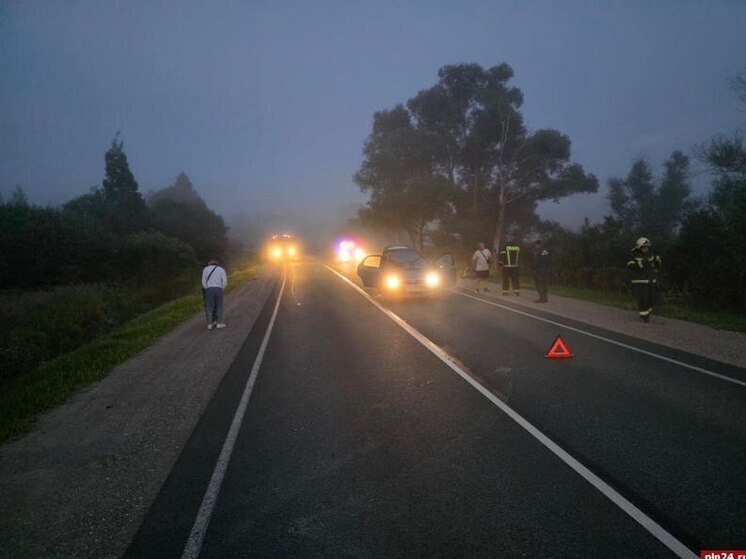 Человек пострадал, а лось погиб в результате ДТП в Дедовичах