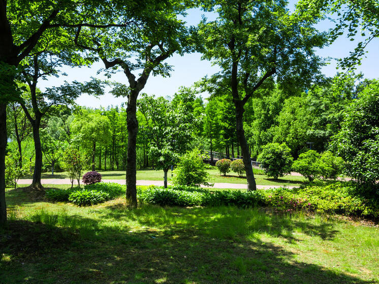 Комиссия начала отсматривать проекты в рамках конкурса "Томский дворик"