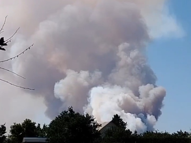 Крупный ландшафтный пожар полыхает в Каменском районе