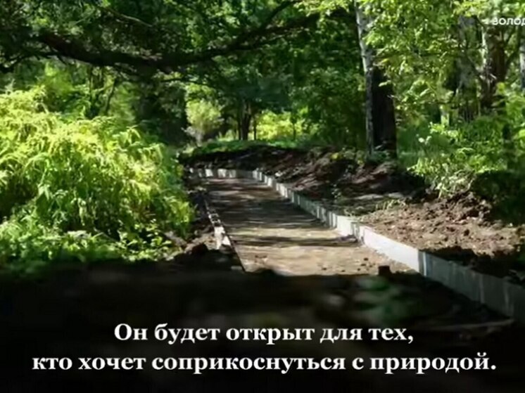 Володин проинспектировал восстановление Ботанического сада СГУ