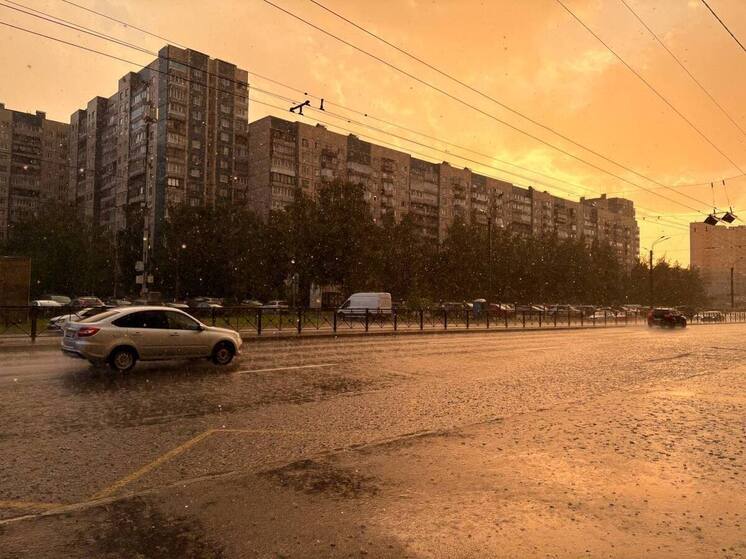 Оживляющий ливень спрогнозировали петербуржцам в жаркий день