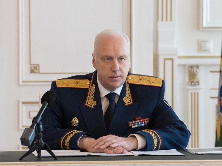 Глава СКР поручил дело по избиению беременной в Новосибирске