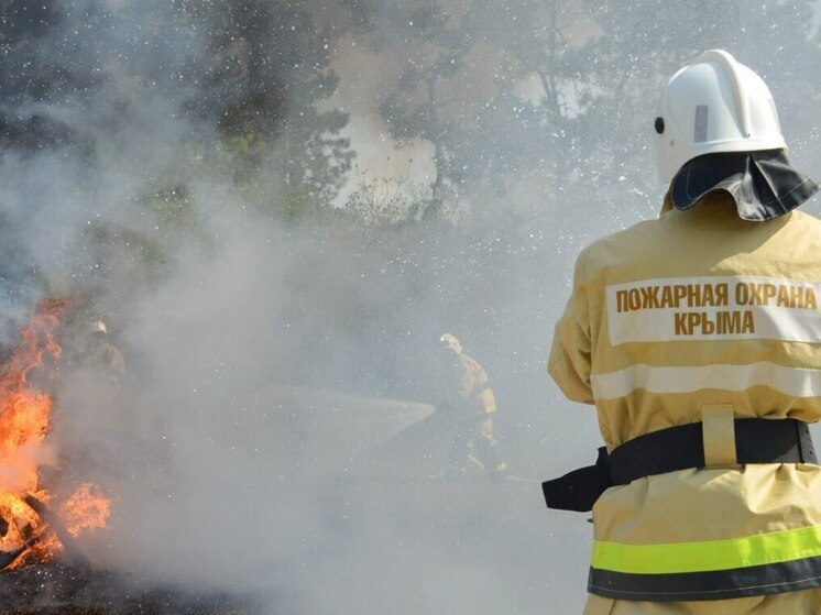 С начала года в Крыму потушили более 2,1 тысячи пожаров