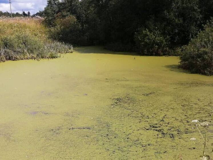 Искали и нашли утонувшим: следователи рассказали подробности исчезнования 53-летнего мужчины