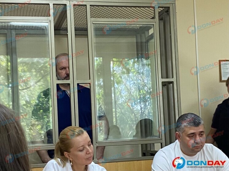 Свидетелей защиты по делу экс-министра Ростовской области не смогли допросить