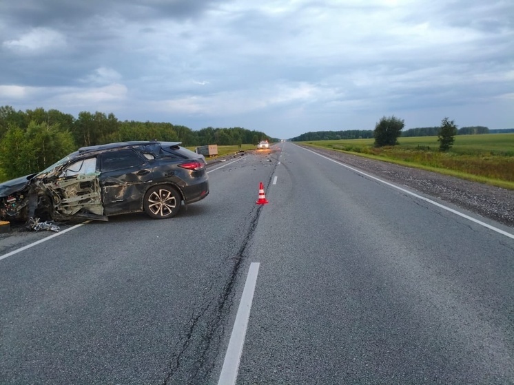 Три человека пострадали в столкновении автомобилей на трассе в Омской области
