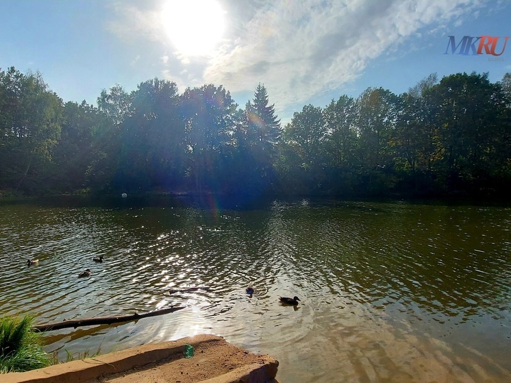 Калужанам пообещали до +30°С