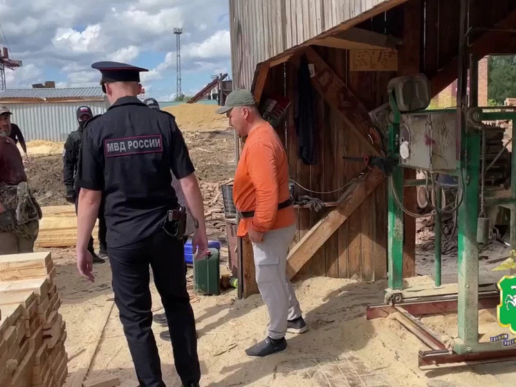 Полиция выявила нарушения миграционного законодательства в Томске