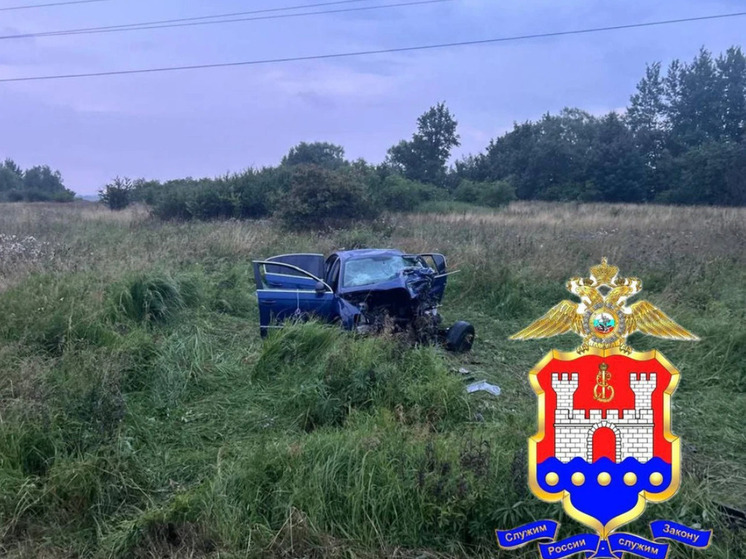 Калининградская ГАИ сообщила о погибших в массовой аварии под Багратионовском