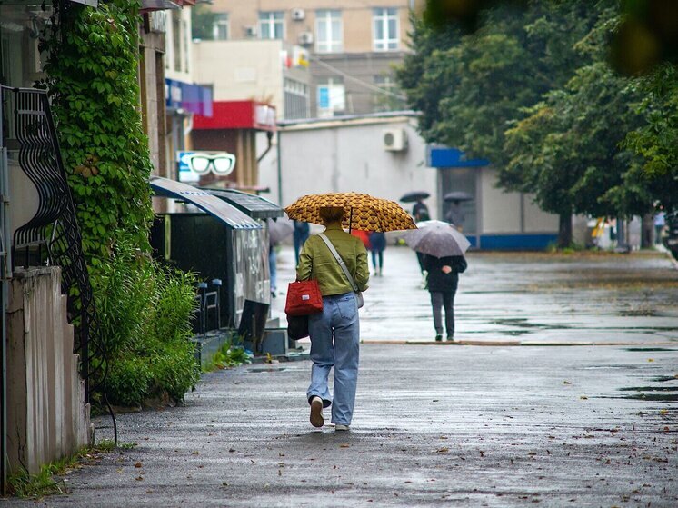 Сильные ливни пройдут во вторник на Южном Урале