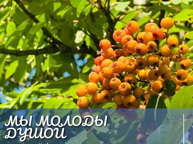 Фестиваль «Мы молоды душой» пройдет Нижневартовске