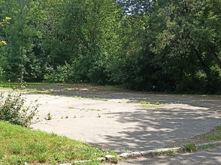 В Орле под аттракционы сдают площадку