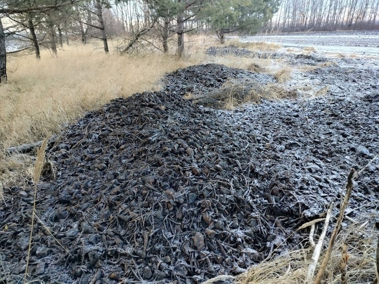 Под Орлом нашли свалку сахарного жома
