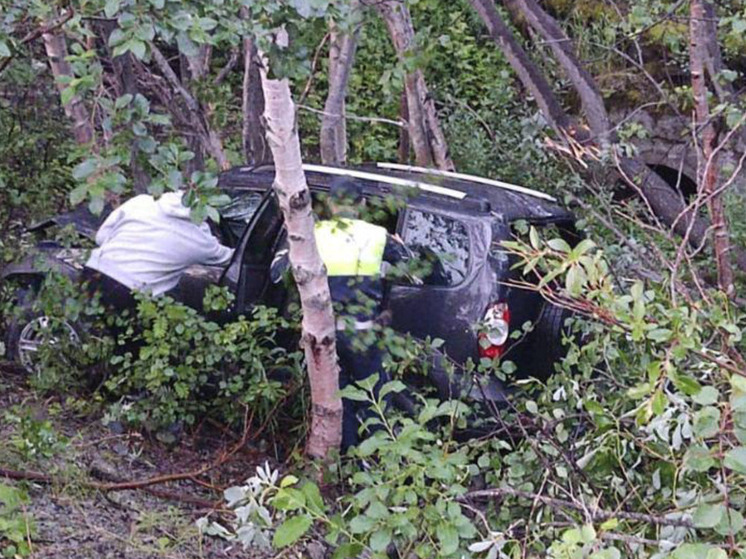 В Кировске водитель не справился с управлением и улетел в кювет