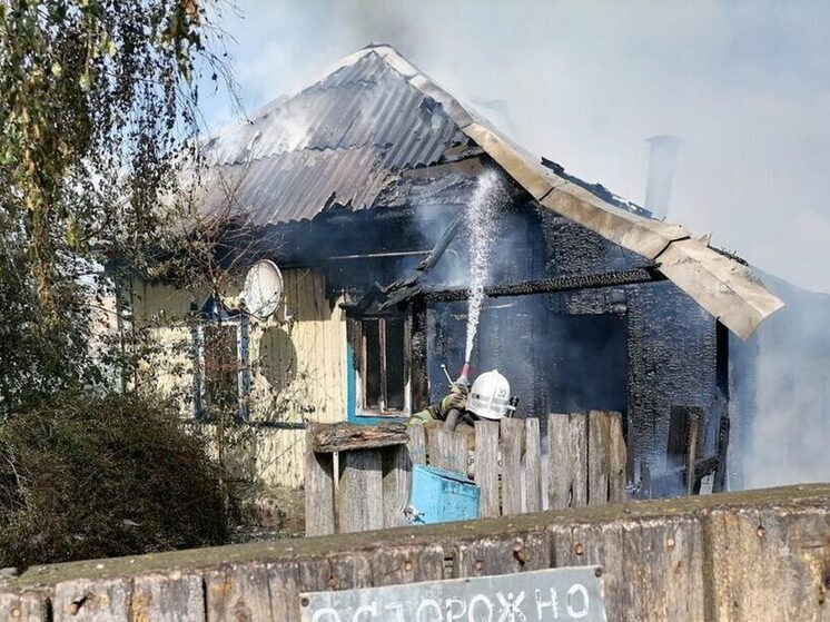 Дом многодетной семьи сгорел в Пителинском округе Рязанской области