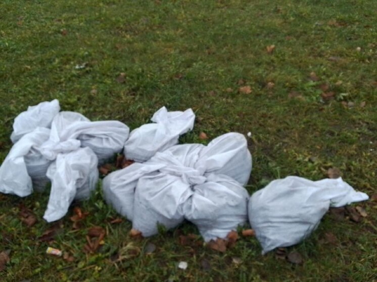 Незаконную свалку в одном из сел Хакасии уберут за 1,5 млн рублей