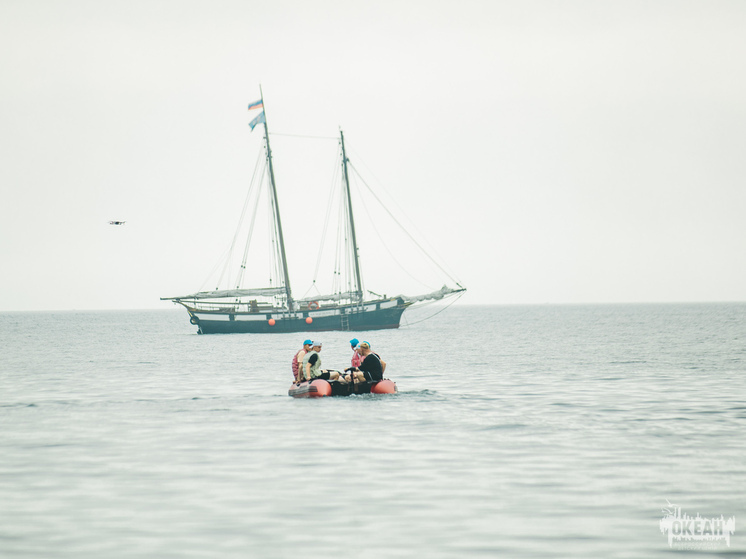 Навстречу волнам знаний в Приморье: участники программы «Сила моря» Дальневосточного центра осваивают образовательные курсы