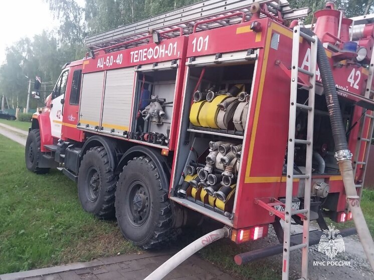 В тульском СНТ «Лесная сказка» потушили пожар