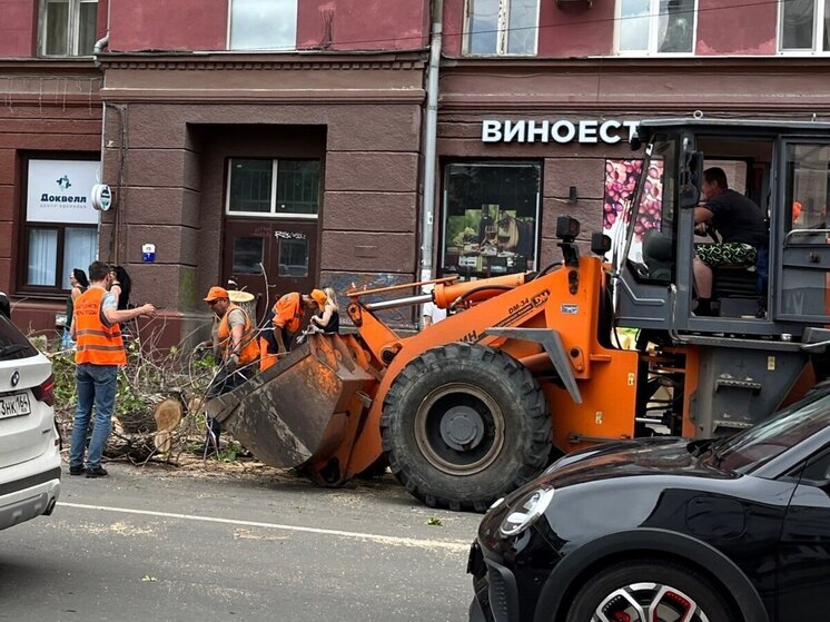 Администрация Октябрьского района оголила улицу Горького