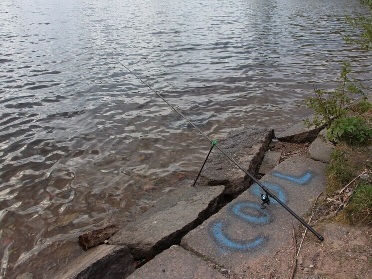 На чемпионате Хакасии по рыболовному спорту поймали щуку весом почти 4 кг