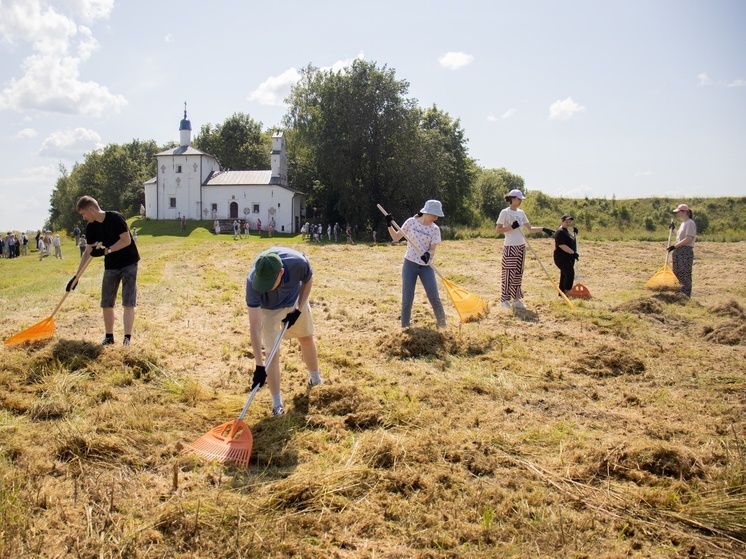 Волонтёры привели в порядок территорию Труворова городища