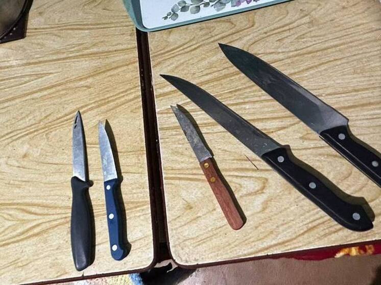 В Йошкар-Оле мужчина отправлен в СИЗО за смертельный удар ножом