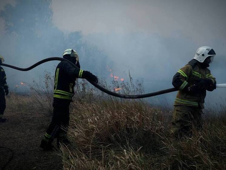 Двести гектаров сухостоя уничтожено огнем в природном заповеднике в ДНР