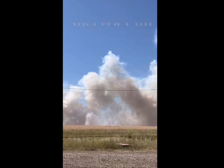 Полицейские задержали жителя Ставрополья за поджог полей с пшеницей