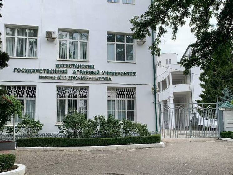 Ректора ДагГАУ и его зятя подозревают в хищениях при аренде спортобъектов