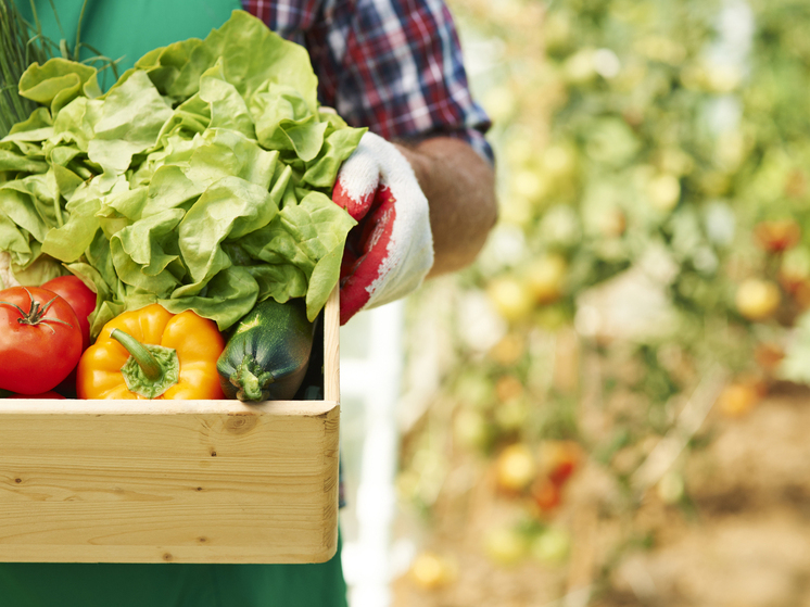 Эти 5 продуктов, сохраняют здоровье сосудов и не ухудшают состав крови