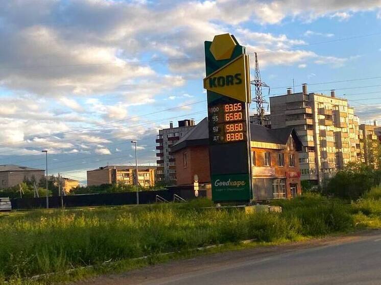 Цены на бензин двух марок выросли в Чите
