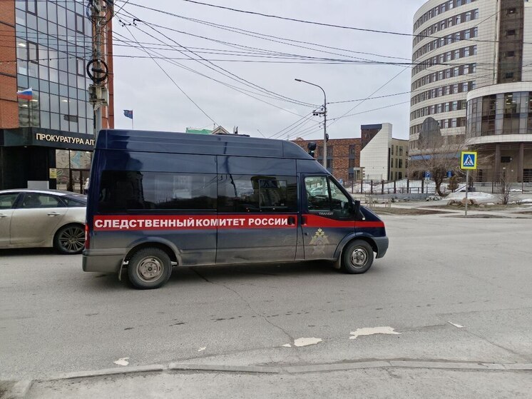 СК проводит проверку по факту падения женщины с колеса обозрения в Рубцовске