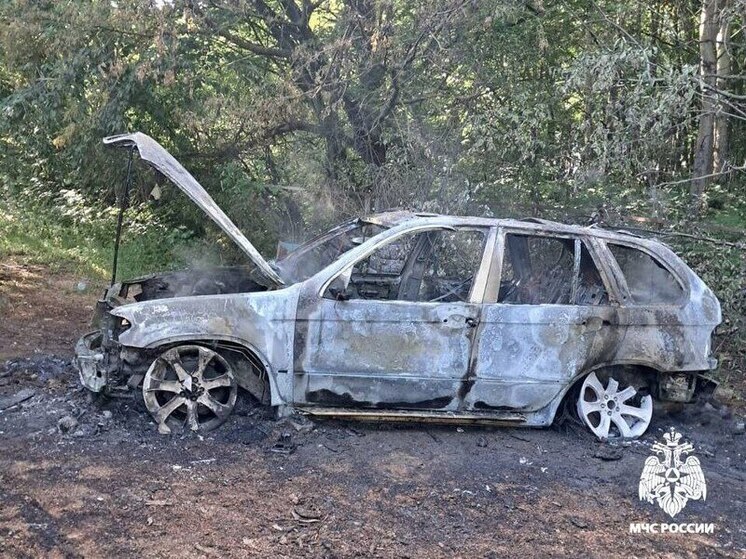 В Губкинском округе 15-летний подросток пострадал при пожаре в «БМВ»