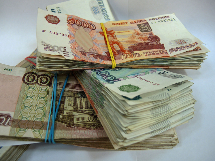 В Амурской области девушка случайно выбросила на свалку 6 млн рублей