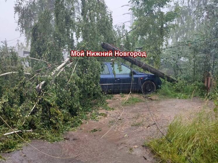 Дерево и линия электропередач рухнули на иномарку в Нижнем Новгороде