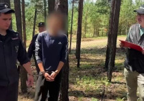 Двух подростков в Забайкалье обвиняют в поджогах леса на сотни млн рублей по указанию украинских кураторов. 