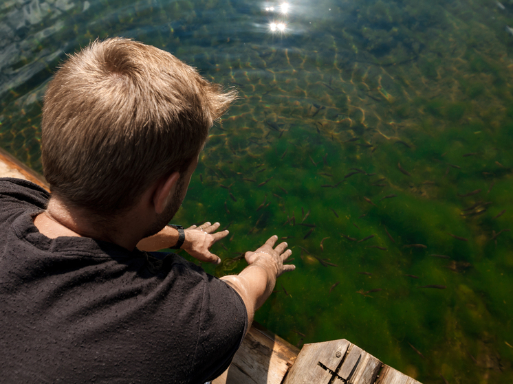 Трагедии на воде в Томской области: с начала года погибли 13 человек