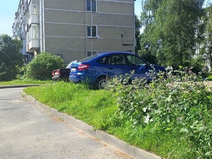 Псковичей предупредили об ответственности за парковку "на зеленке"