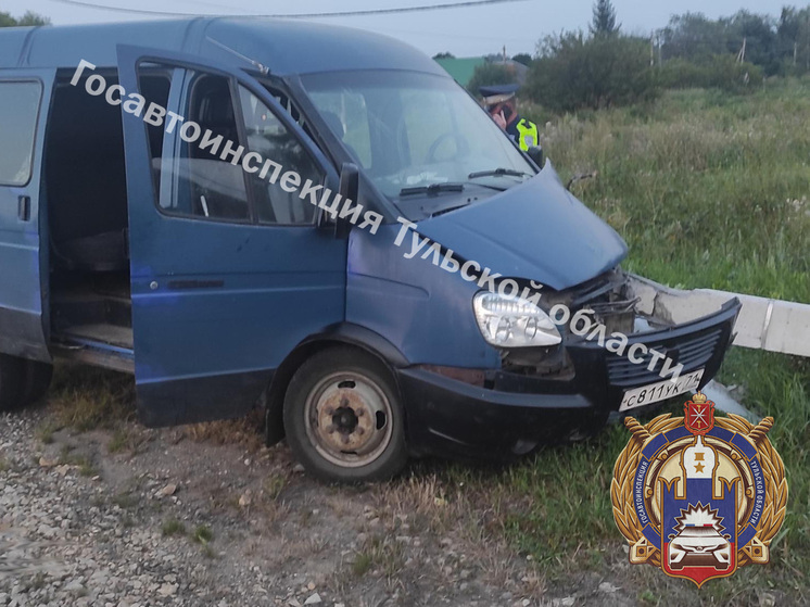 Два человека пострадали после наезда микроавтобуса на опору ЛЭП у Куркино