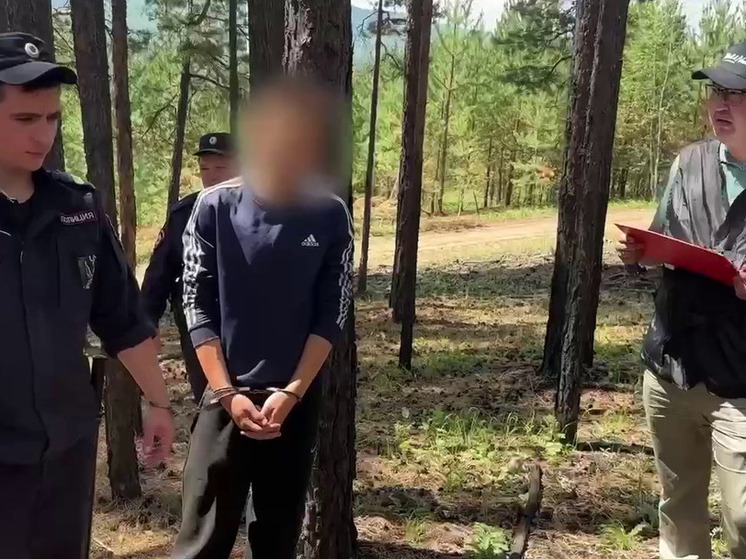 Двух подростков в Забайкалье обвиняют в поджогах леса на сотни млн рублей по указанию украинских кураторов. 