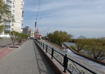 Только после представление в адрес директора ГКУ «УСЗН №11» семье участника спецоперации выдали удостоверение многодетной