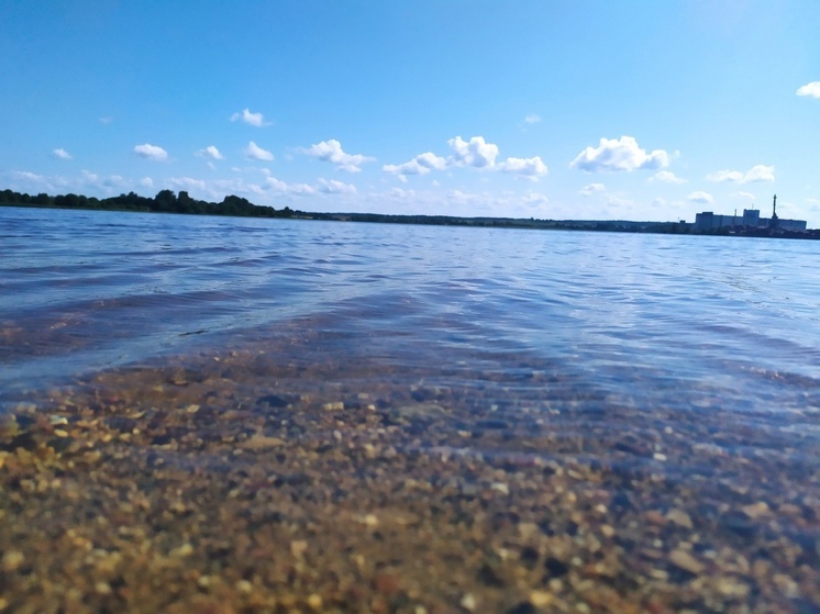 65-летняя женщина и 42-летний мужчина утонули на водоемах Вологодской области