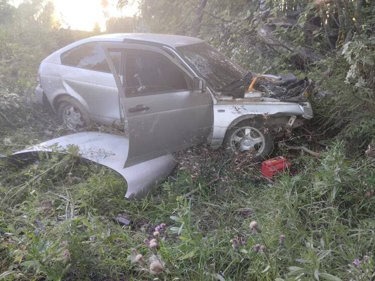 В Марий Эл водитель без прав влетел в дерево, а потом взялся за спиртное