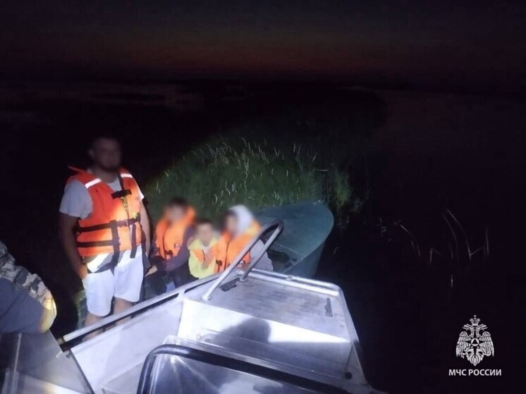 В Старорусском округе семья с детьми заблудилась в Синецком заливе