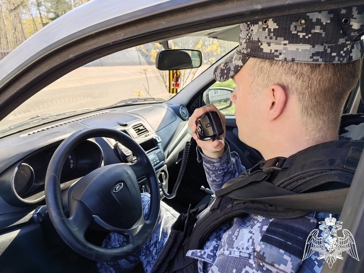 Брянские росгвардейцы получили более 390 сигналов тревоги за неделю