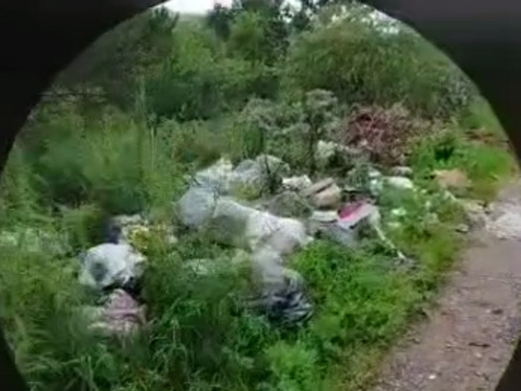 Большую незаконную свалку нашли в Читинском округе