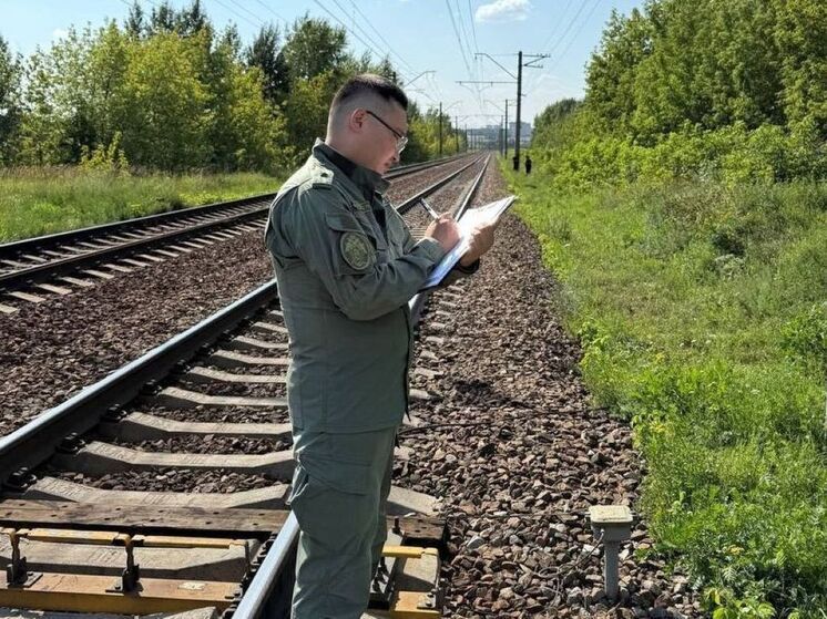 Подросток скончался от удара током на крыше электрички Рязанского направления МЖД