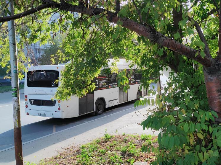 Автобус №3 в Новосибирске изменит маршрут из-за ремонта теплотрассы